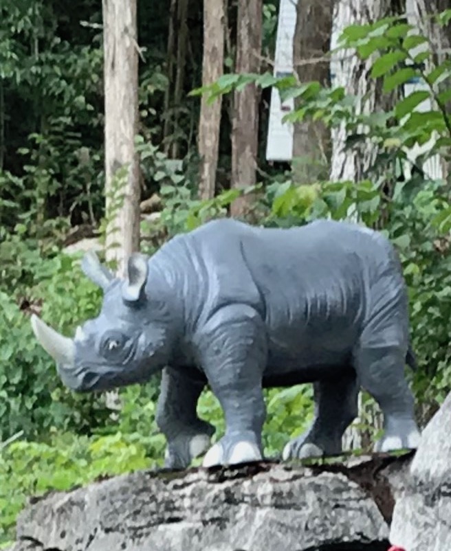 Rhinoceros