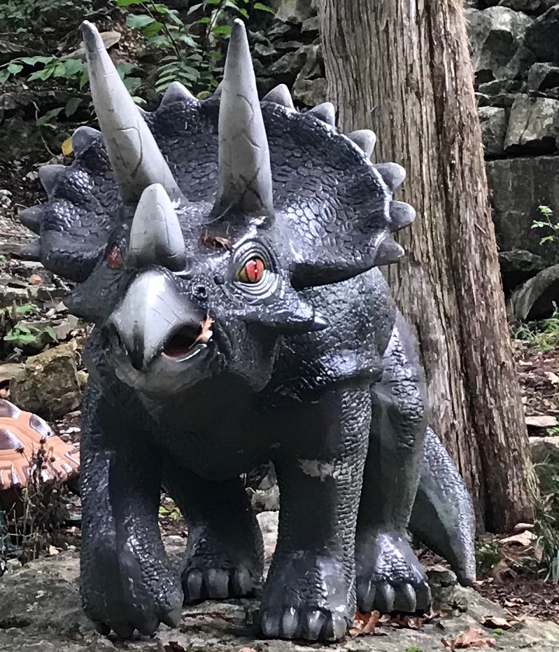 Triceratops