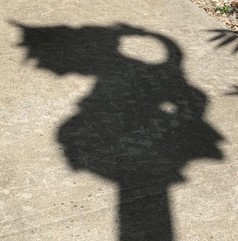 Dragon Shadow