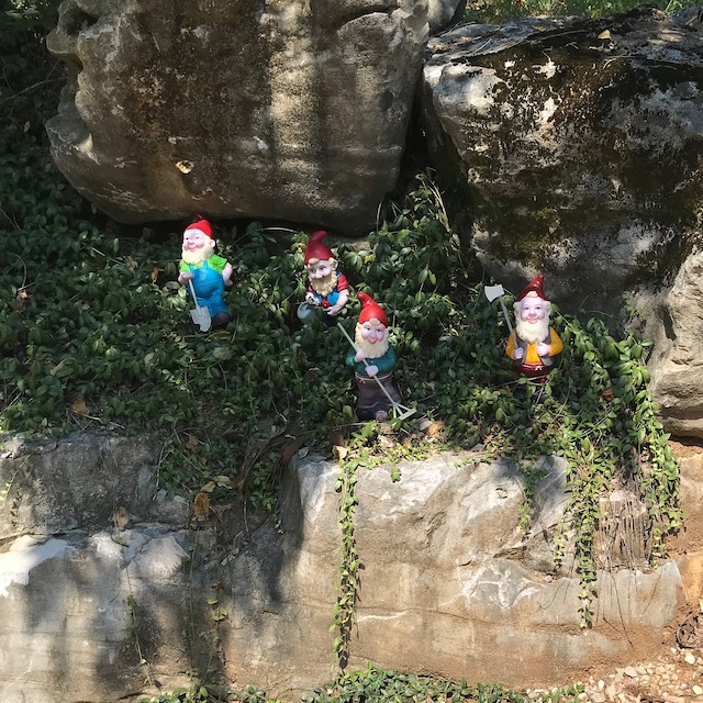 Gnomes1